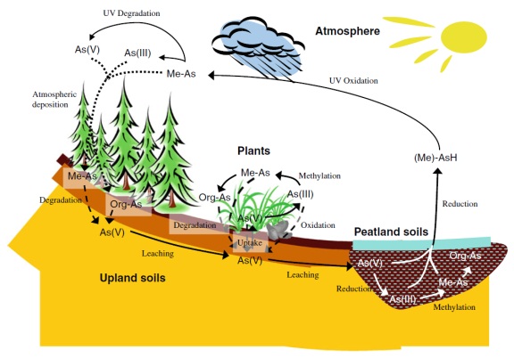 Huang et al. 2011 Water, air, soil pollut.