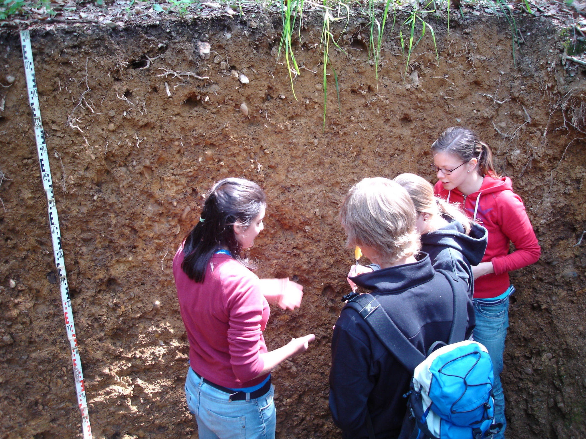 Enlarged view: Teaching soil science